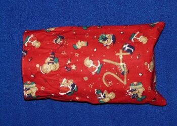 NICHOLAS TIES CANADIAN RECORD, CANADA’S WOMEN’S SEVENS TEAM ADVANCE TO CUP SEMI-FINAL IN SINGAPORE – Rugby Canada