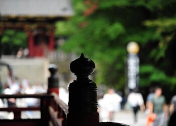 Franchise News: Tyaani by Karan Johar Deepens Presence With 11th Store Launch in Surat – Indian Retailer