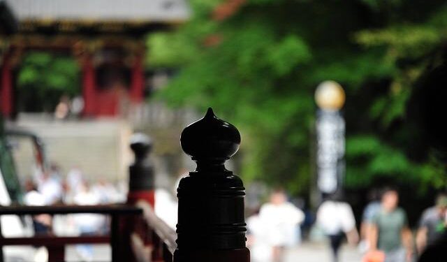 Franchise News: Tyaani by Karan Johar Deepens Presence With 11th Store Launch in Surat – Indian Retailer