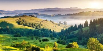 Tamil Nadu man doused with petrol, set on fire by daughter-in-law’s lover for opposing affair; arrested – Times of India