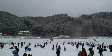 Harbin ice festival draws sculptors and spectators to northern China, in photos – Toronto Star