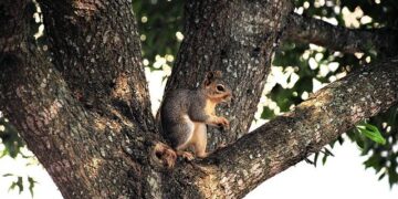 Backyard Community Club is Accra’s newest tennis court, and the architects played an ace – wallpaper.com