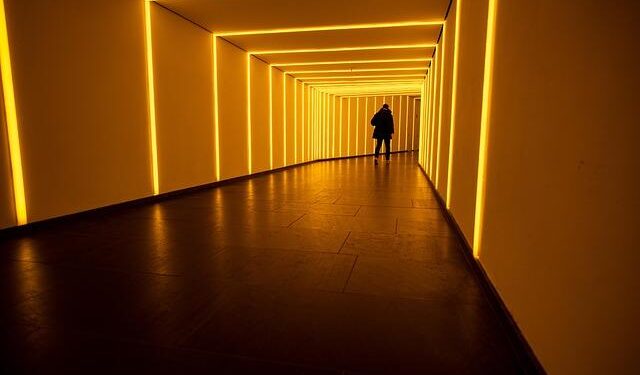 Cairo Metro unveils first-ever int’l caricature art exhibition – Egyptian Gazette