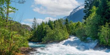 Norway gives 1m$ to UNHCR for Rohingya refugee aid in Bangladesh – Scandasia