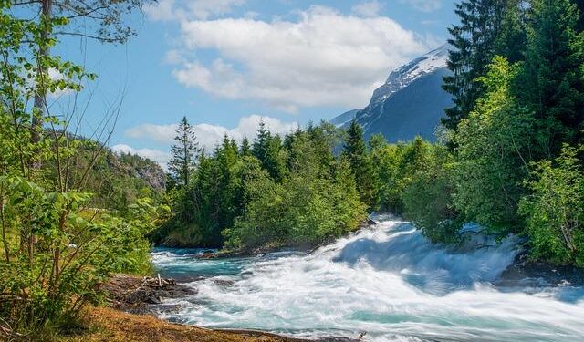 Norway gives 1m$ to UNHCR for Rohingya refugee aid in Bangladesh – Scandasia