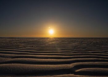 Police close rape investigation filed by former hostage Mia Schem, accusing Tel Aviv fitness trainer – i24NEWS