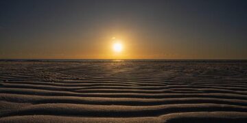 Police close rape investigation filed by former hostage Mia Schem, accusing Tel Aviv fitness trainer – i24NEWS