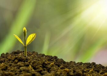 HDBank posts strong profit growth with solid capital base, ready for new growth cycle – Media OutReach Newswire