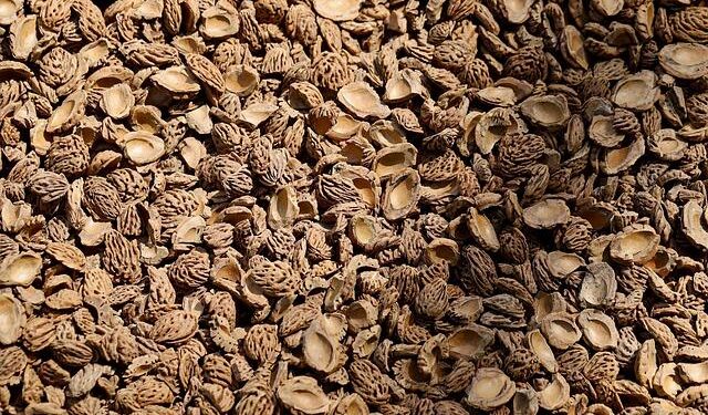 Govt to Repatriate Nearly 3,000 Citizens From Cambodia, Some Face Criminal Probe – Jakarta Globe