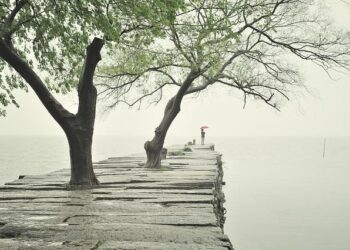 The KYLN Hotel Suzhou Celebrates Grand Opening, Joining the JdV by Hyatt Brand – Hospitality Net