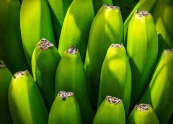 EU says China confirms Nexperia chip export resumptions – Hong Kong Free Press HKFP