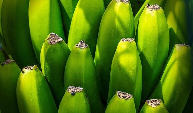 EU says China confirms Nexperia chip export resumptions – Hong Kong Free Press HKFP