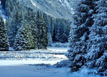 29th Changchun Ice and Snow Festival kicks off in NE China – People’s Daily Online