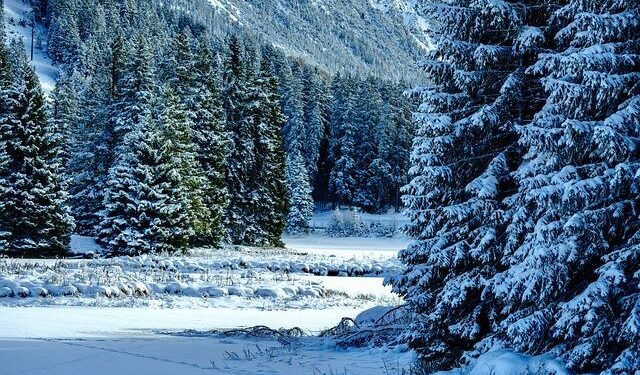 29th Changchun Ice and Snow Festival kicks off in NE China – People’s Daily Online