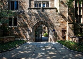 University of New Haven to Launch Pre-University Program in Saudi Arabia – University of New Haven
