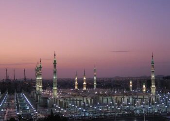 Did Saudi Arabia’s Mohammed Bin Salman Just Repeat Turkey’s Deception? – Middle East Forum