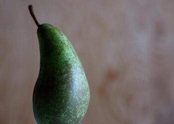 Exclusive to TML: US Mulls Sanctions on Chile as Santiago Signals Possible Break With Israel – The Media Line