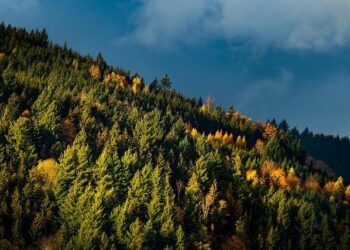 Beijing 2022: Chinese capital shows its versatile side – Milano Cortina 2026