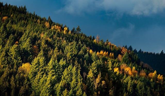 Beijing 2022: Chinese capital shows its versatile side – Milano Cortina 2026