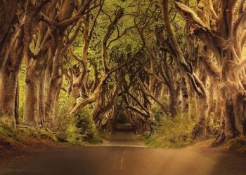 “I Once Hoped To Stay In M’sia” – Ireland’s Backstroke Swimmer Lottie Cullen Shares After Winning In KL – WeirdKaya