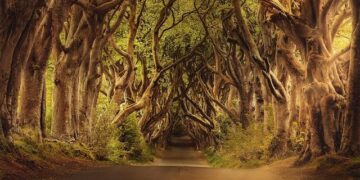 “I Once Hoped To Stay In M’sia” – Ireland’s Backstroke Swimmer Lottie Cullen Shares After Winning In KL – WeirdKaya