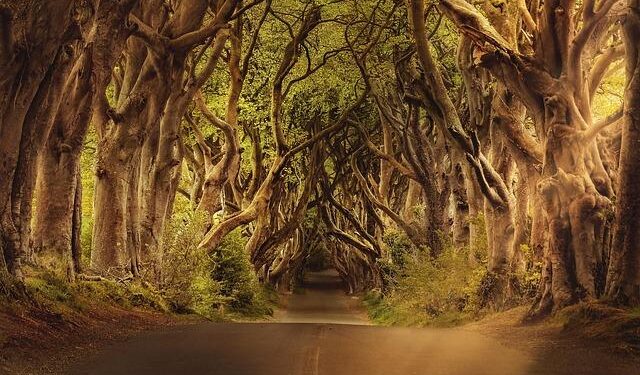 “I Once Hoped To Stay In M’sia” – Ireland’s Backstroke Swimmer Lottie Cullen Shares After Winning In KL – WeirdKaya