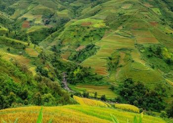 Indonesia readies rice shipment to Saudi for 2026 Hajj – ANTARA News