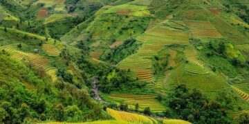 Indonesia readies rice shipment to Saudi for 2026 Hajj – ANTARA News