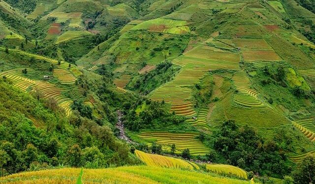 Indonesia readies rice shipment to Saudi for 2026 Hajj – ANTARA News