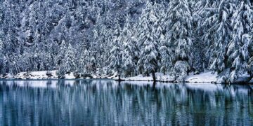 20 years behind bars: Jimmy Lai sentenced in Hong Kong security trial – news.cgtn.com