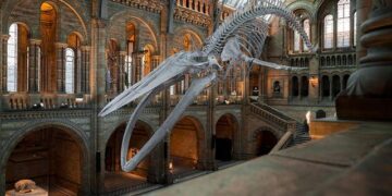 Yellow River National Museum, Zhengzhou, China – e-architect