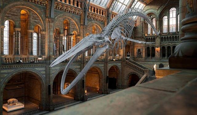 Yellow River National Museum, Zhengzhou, China – e-architect