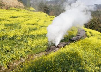 Jia Yuan opens branch in Changsha becoming its 8th office – Law.asia