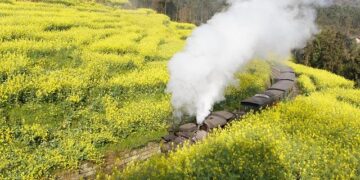 Jia Yuan opens branch in Changsha becoming its 8th office – Law.asia