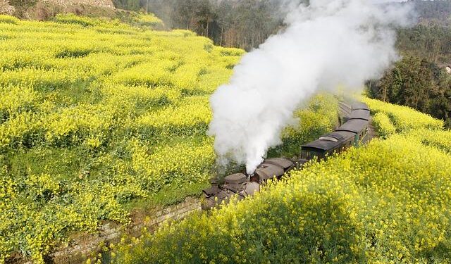 Jia Yuan opens branch in Changsha becoming its 8th office – Law.asia