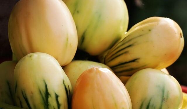 Nigerian Govt Orders NAFDAC to Suspend Sachet Alcohol Ban Enforcement – Nigeria Info FM