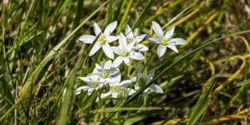 Justin Trudeau moving back to Montreal after buying a home in this neighbourhood — for $4 million dollars – Time Out Worldwide