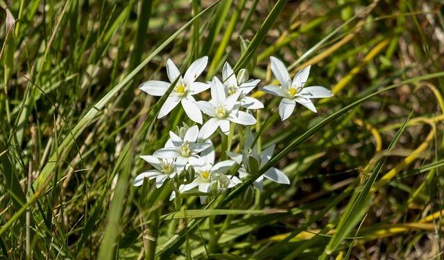 Justin Trudeau moving back to Montreal after buying a home in this neighbourhood — for $4 million dollars – Time Out Worldwide