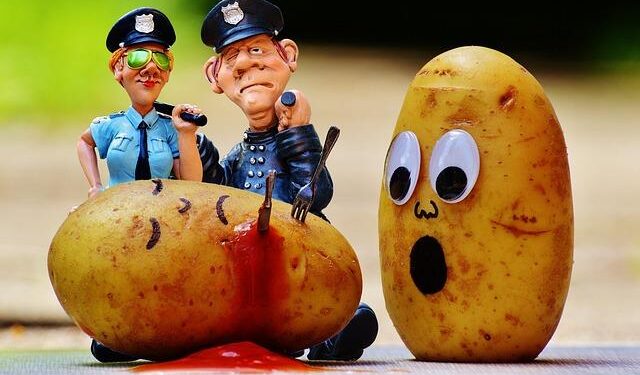 Fewer than 100 murders reported in the Netherlands this year, incl. 10 in Amsterdam – NL Times