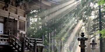 Sun vs. Moon: Yota Tsuji Shines in Fukuoka – njpw1972.com