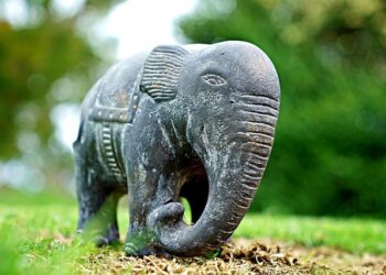 Man killed in elephant attack in Salpatra forest – Times of India