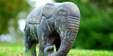 Man killed in elephant attack in Salpatra forest – Times of India