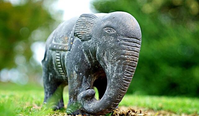 Man killed in elephant attack in Salpatra forest – Times of India