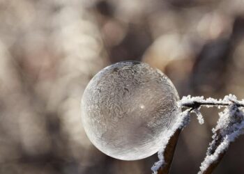 Ex-NRL winger Matt Utai in serious condition after drive-by shooting – BBC