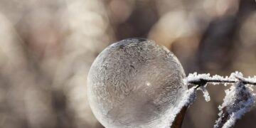 Ex-NRL winger Matt Utai in serious condition after drive-by shooting – BBC