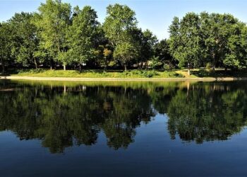 Montréal Used to Be Canada’s ‘Sin City.’ What Happened? – Seven Days Vermont