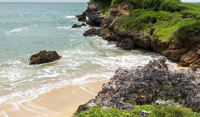 Experts: Heavy reliance on Dar es Salaam threatens Tanzania’s sustainable tax growth – thecitizen.co.tz