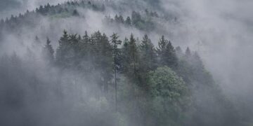 Drone attack on Sudan market kills 28 – New Age BD