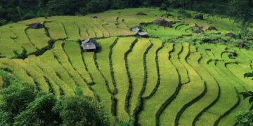 Vietnam welcomes Year of the Horse with spectacular fireworks – VnExpress International