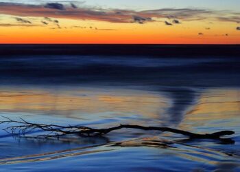 Can Europe survive without US defence? Surprisingly, the Baltic sea nations are showing the way | Elisabeth Braw – The Guardian